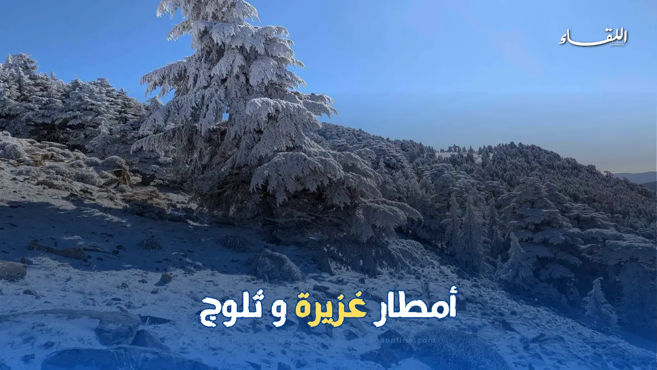 تحذير من أمطار غزيرة وثلوج ورياح قوية تضرب عدة ولايات محددة